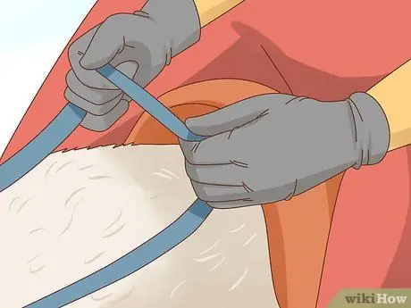 Прокатиться на ламе. Шаг 5