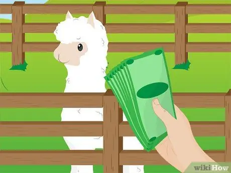Купить Alpacas Step 13