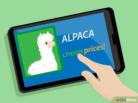 Купить Alpacas Step 14