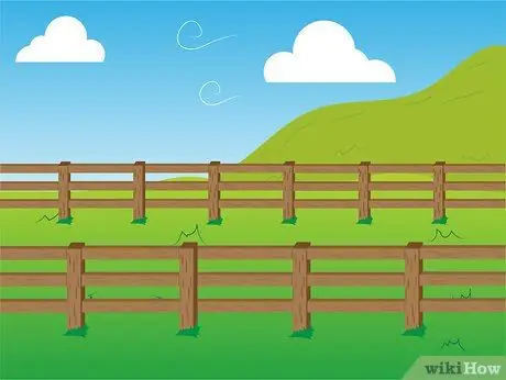 Купить Alpacas Step 3