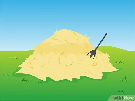 Купить Alpacas Step 4