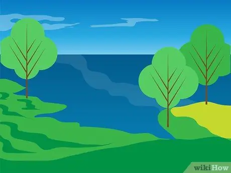 Купить Alpacas Step 5