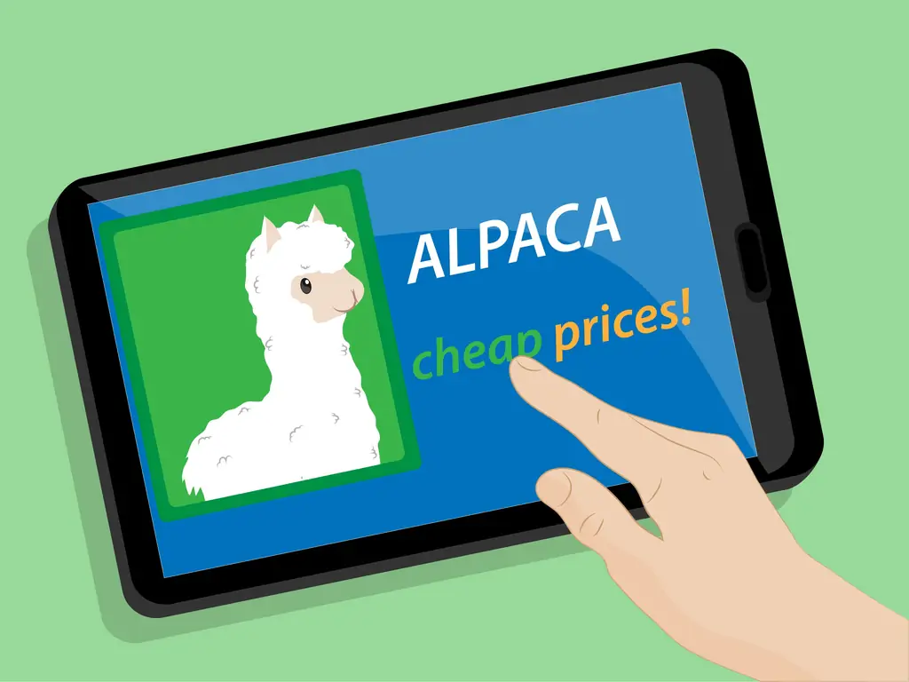 Как купить альпак: 12 шагов (с картинками)