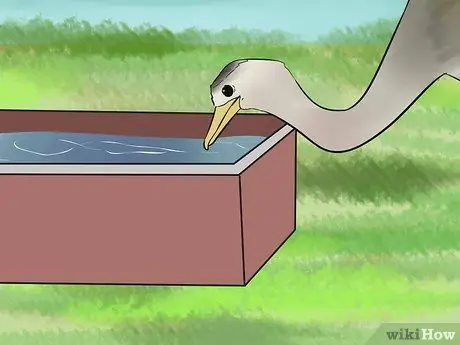 Поднять Реаса Шаг 11