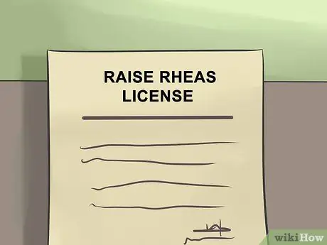 Raise Rheas, шаг 2