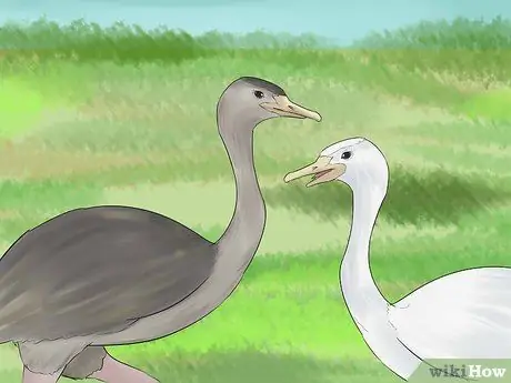 Поднять Реаса Шаг 3