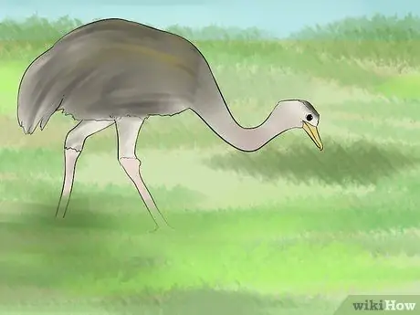 Поднять Реаса Шаг 8