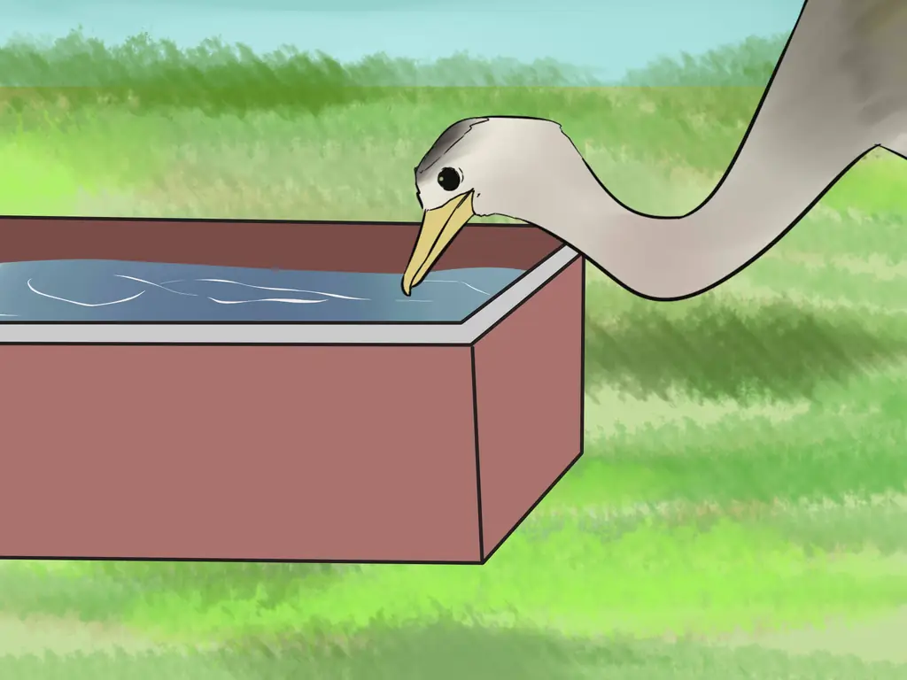 Как вырастить Реаса: 11 шагов (с иллюстрациями)