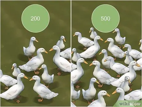 Будьте птицеводом Шаг 10