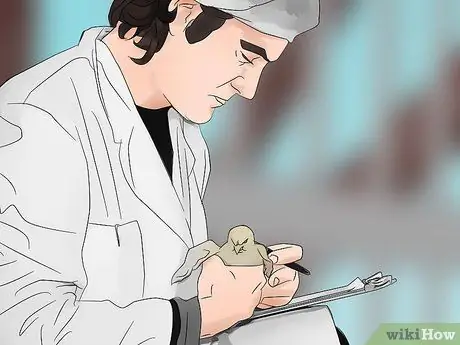 Будьте птицеводом Шаг 15