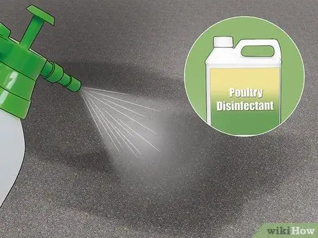 Будьте птицеводом Шаг 17