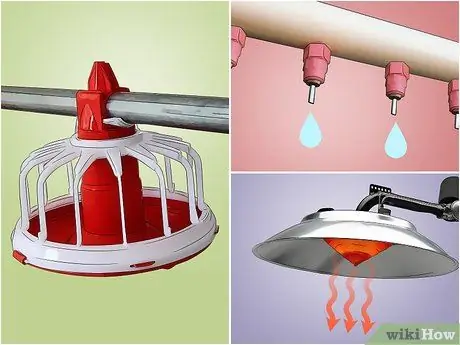 Будьте птицеводом Шаг 9