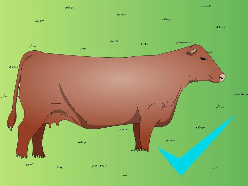 Как передать пастбища для семенного скота: 3 шага (с иллюстрациями)