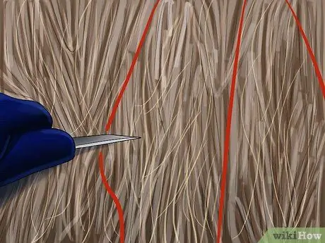 Обрежьте и соберите нитку или сетку с круглых тюков Шаг 1