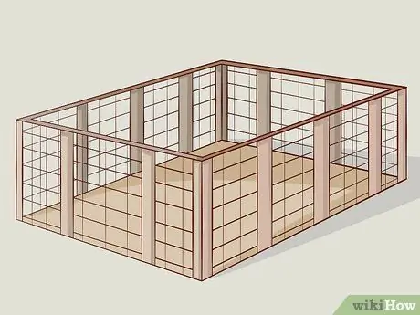 Выращивание свиней на мясо Шаг 1