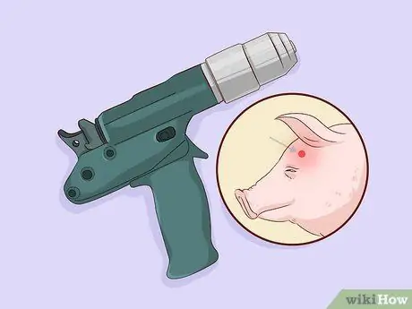 Поднять свиней на мясо Шаг 13