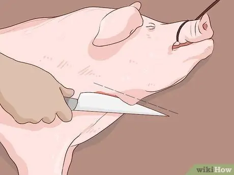 Поднять свиней на мясо Шаг 14