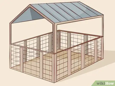 Выращивание свиней на мясо, шаг 2