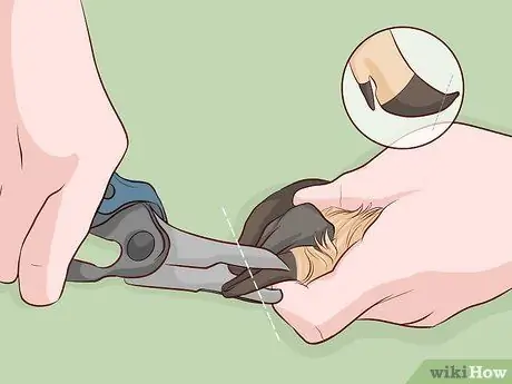 Выращивание свиней на мясо Шаг 8