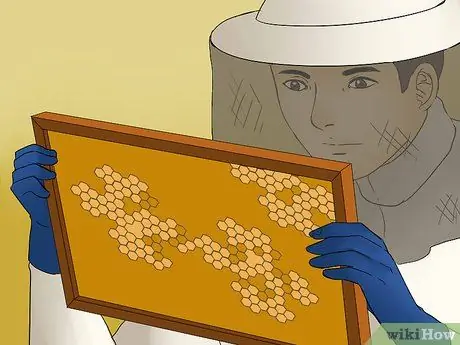 Подготовка пчелиных ульев к зиме, шаг 4