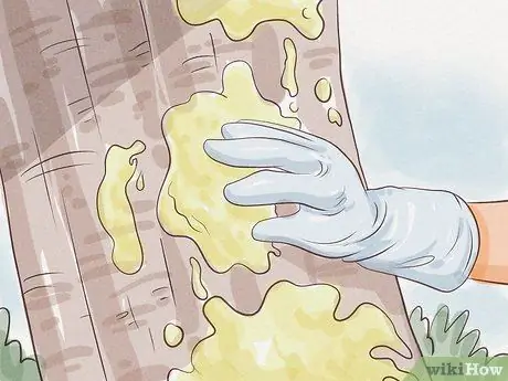 Приготовить домашнюю еду для оленей, шаг 14