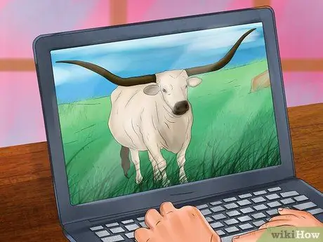 Определите техасский лонгхорн, шаг 1