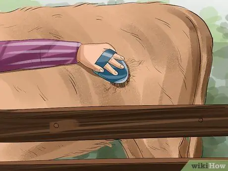 Очистите корову Шаг 3