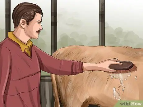 Очистите корову Шаг 9