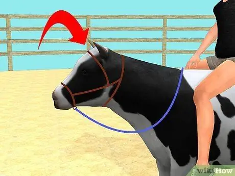 Приучите корову ездить верхом Шаг 6