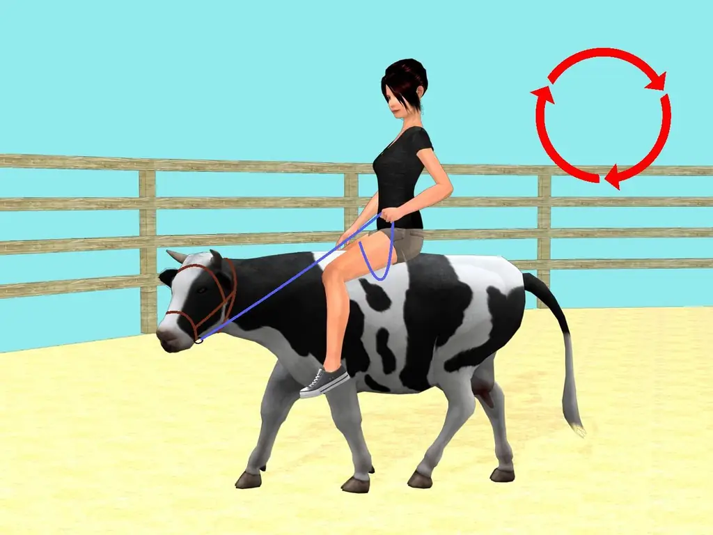 Как приучить корову ездить верхом: 8 шагов (с иллюстрациями)