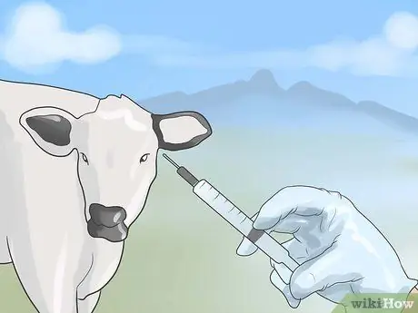 Заведите домашнюю корову Шаг 11