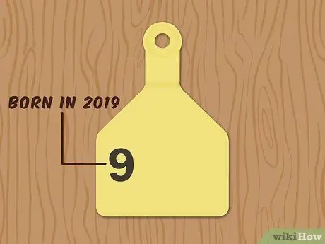 Напишите бирки для ушей крупного рогатого скота, шаг 1