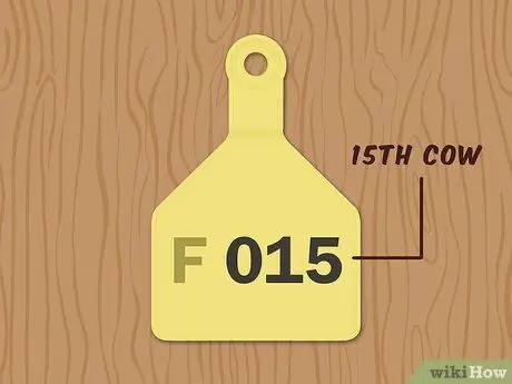 Напишите бирки для ушей крупного рогатого скота Шаг 8