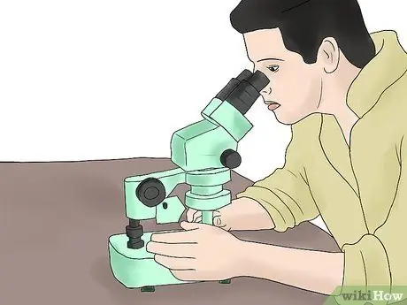 Разведение коров и телок естественным путем Шаг 2