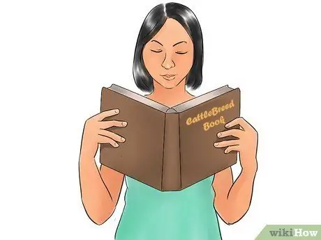 Определение крупного рогатого скота Beefmaster Шаг 1