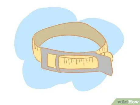 Соберите сперму быка для экзамена на воспроизводимость, шаг 3