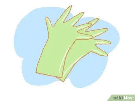 Соберите сперму быка для экзамена на воспроизводимость, шаг 4