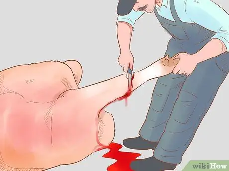 Убой крупного рогатого скота Шаг 10