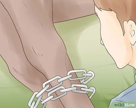 Убой крупного рогатого скота Шаг 24