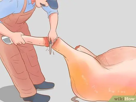 Убой крупного рогатого скота Шаг 14