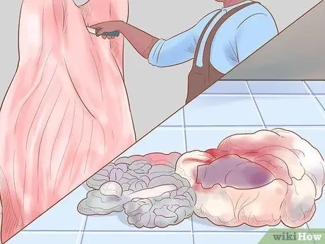 Убой крупного рогатого скота Шаг 16