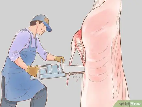 Убой крупного рогатого скота Шаг 17