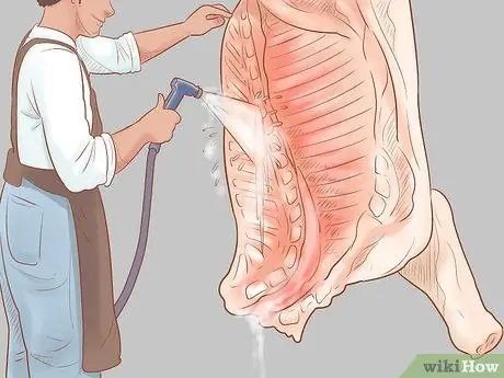 Убой крупного рогатого скота Шаг 18