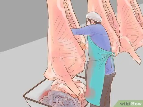 Убой крупного рогатого скота Шаг 28