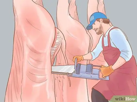 Убой крупного рогатого скота Шаг 30