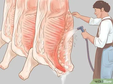 Убой крупного рогатого скота Шаг 31