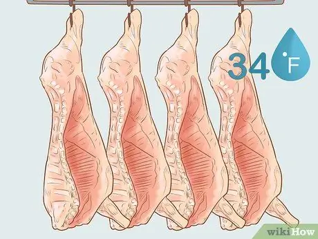 Убой крупного рогатого скота Шаг 32