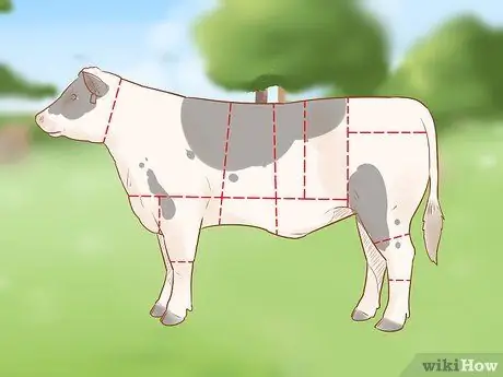 Убой крупного рогатого скота Шаг 4