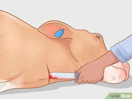 Убой крупного рогатого скота Шаг 8