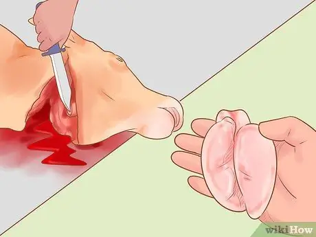 Убой крупного рогатого скота Шаг 9